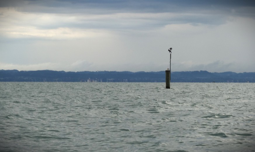 Felchensterben im Bodensee. Eine Reportage mit Berufsfischer Gallus Baumgartner, 31. August 2023