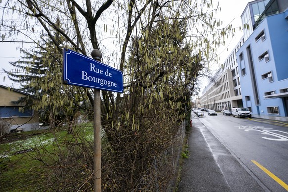 La place prépondérante donnée à la végétation était aussi mise en avant.