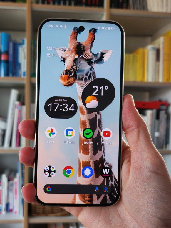 Das neue Pixel 9 Pro von Google gibt es mit 128 GB Speicher ab 949 Franken.