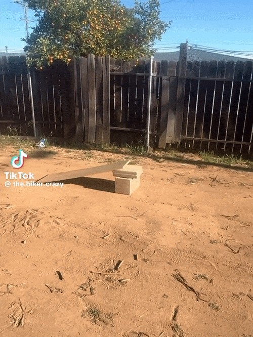 GIF animé