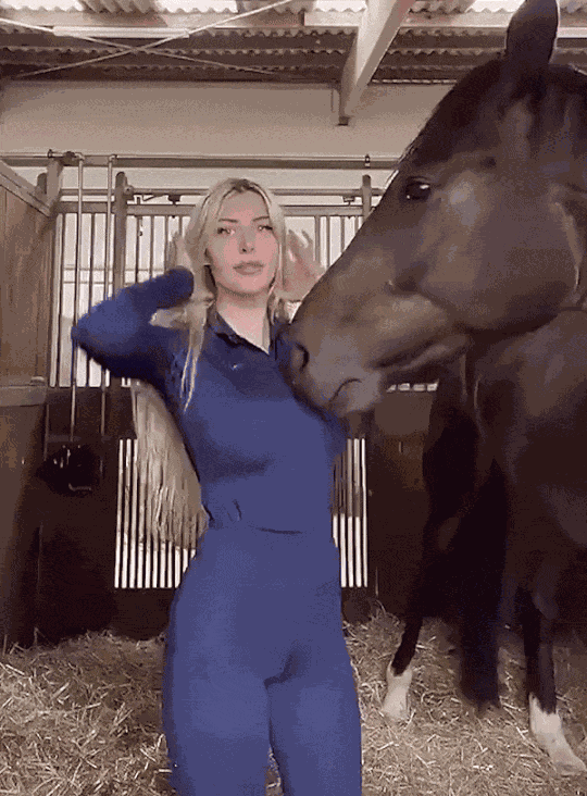 GIF animé