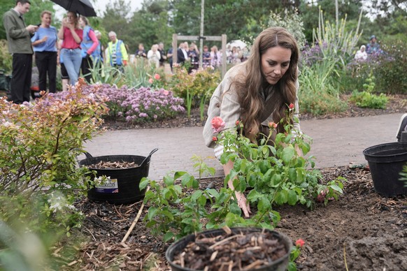 Britain&#039;s Kate, Princess of Wales, plants a rose during a visit to the RHS&#039;s Wellbeing Garden at Colchester Hospital in Essex, England, Wednesday July 2, 2025. (Stefan Rousseau/PA via AP, Po ...