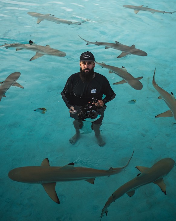 Nicolas Zimmermann entouré de requins à pointes noires.