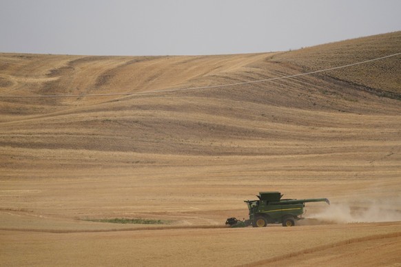 FILE - A combine harvests wheat, Aug. 5, 2021, near Pullman, Wash. How to prevent food insecurity and skyrocketing prices globally as Russia continues its war in Ukraine will be the marquee topic of d ...