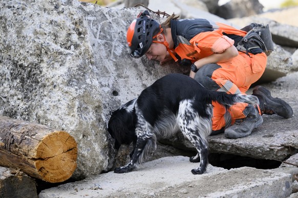 A sniffer dog and his master from Switzerland search for a person in the rubble of a house during a training exercise of the Swiss volunteer organization, REDOG, Search and Rescue Dog Society at the t ...