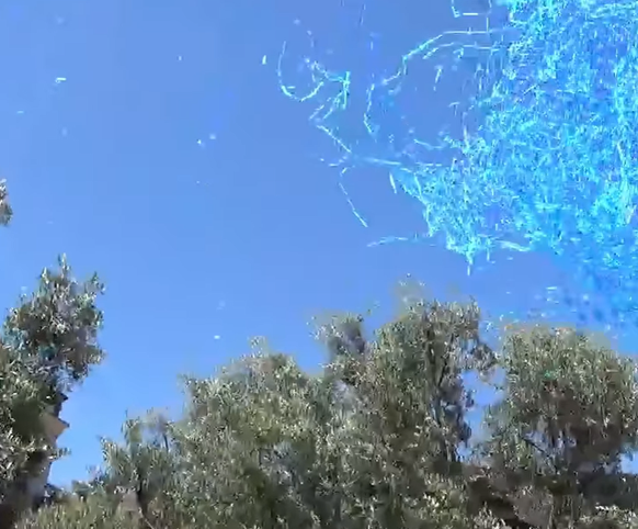 Bye bye les confettis qui s'envolent dans le ciel! Mère nature vous dit merci.