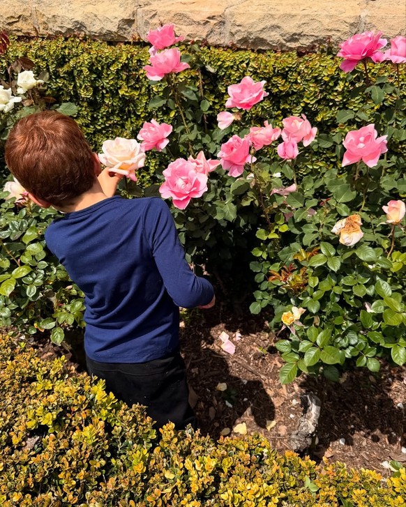 Complété par le petit Archie, 6 ans.