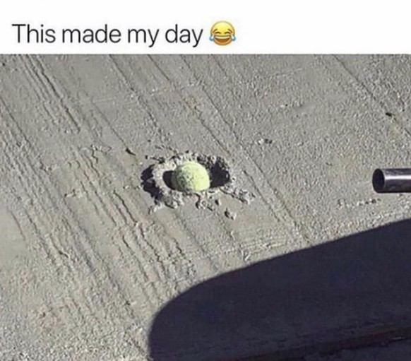 Fail: Hund lässt Ball in nassen Beton fallen