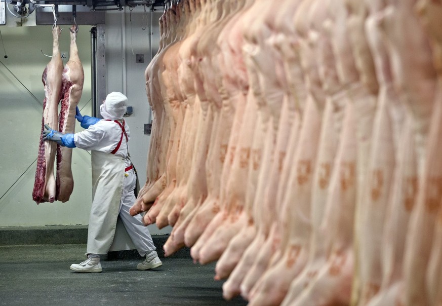 A worker handles animal carcasses at the Doly-Com abattoir, one of the two units checked by Romanian authorities in the horse meat scandal, in the village of Roma, northern Romania, Tuesday, Feb. 12, ...