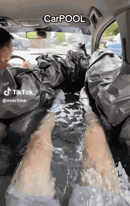 GIF animé