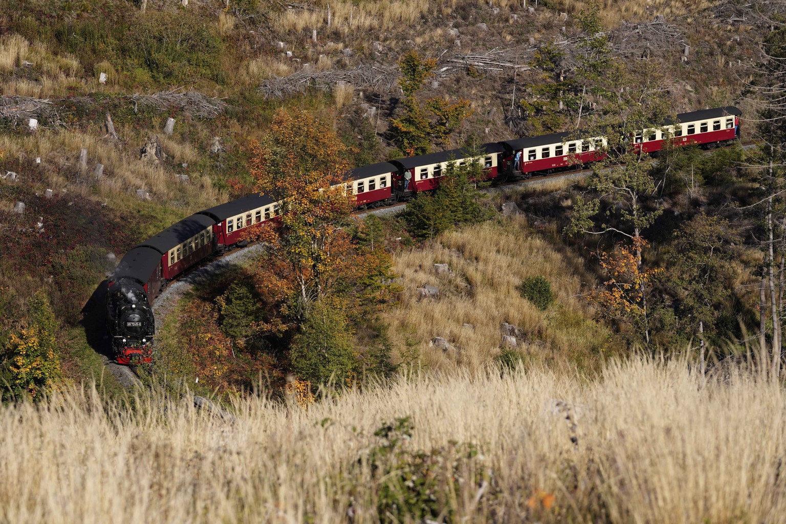 A steam train travels through the Harz mountains destroyed by the bark beetle and drought near the train station Drei Annen Hohne, Germany, Friday, Oct. 7, 2022. (AP Photo/Matthias Schrader)
