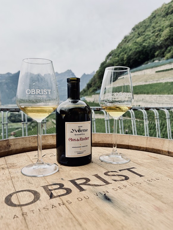 Le Clos du Rocher, à Yvorne dans le Chablais vaudois, a une histoire assez spectaculaire: son terroir est indirectement né d’une catastrophe naturelle