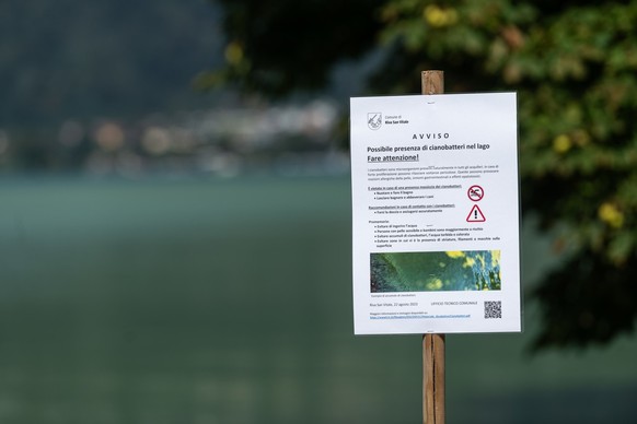 Warning and information signs call on the public to exercise the utmost caution when bathing in the waters of Lake Lugano near Riva San vitale, Switzerland, due to a strong Cyanobacteria (Blue-Green A ...