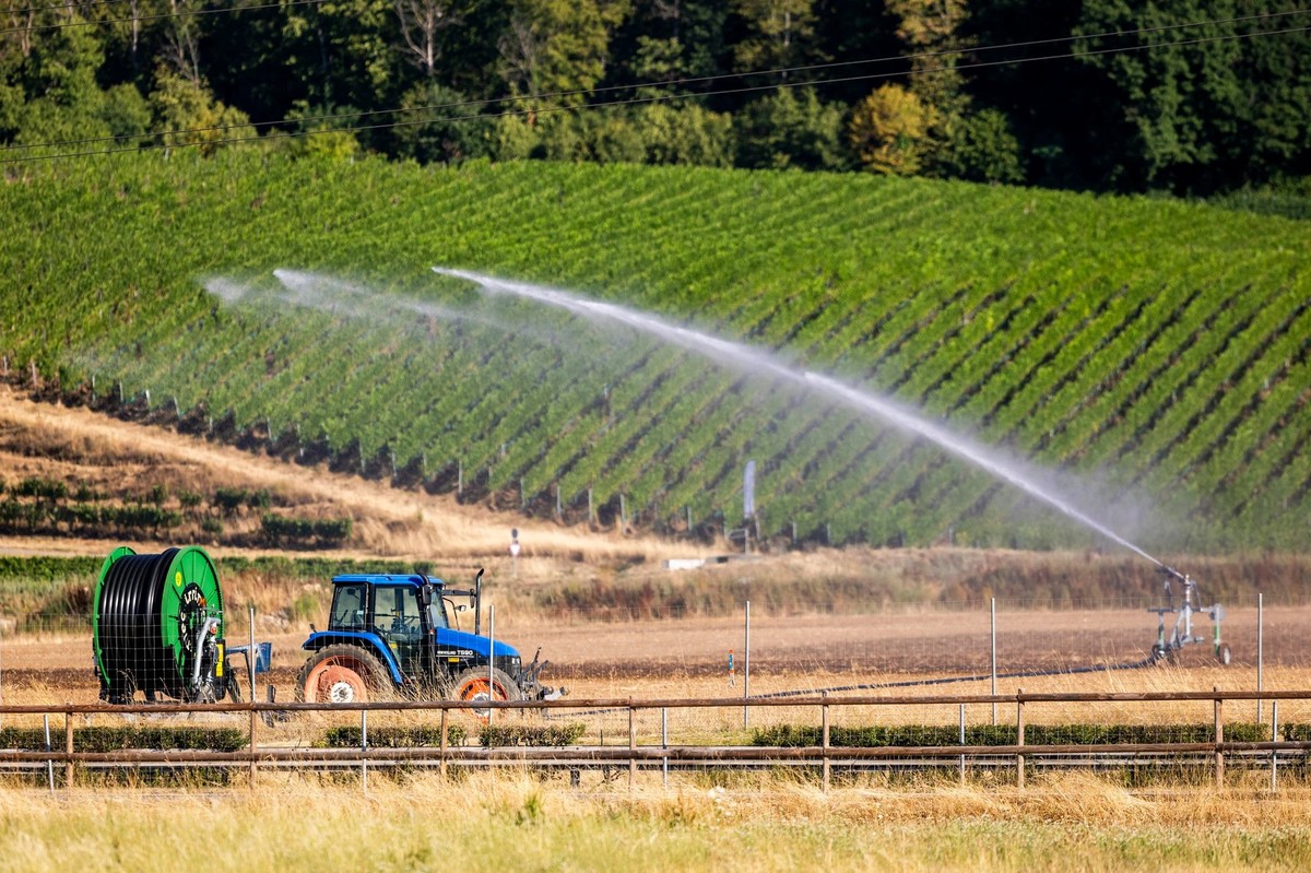 Un système d'irrigation dans un champ, à Gland.