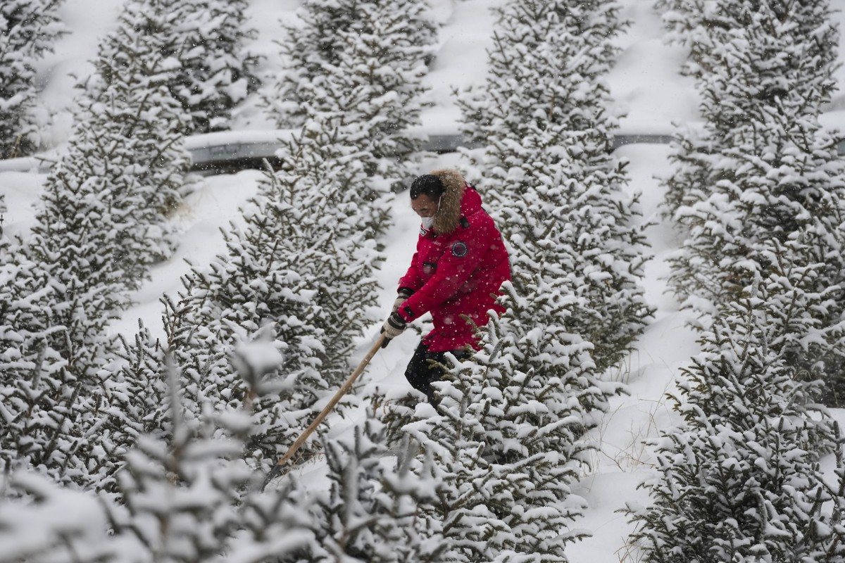 A worker shovels snow at Zhangjiakou National Ski Jumping Centre during a Gundersen large hill/10km official training session at the 2022 Winter Olympics, Sunday, Feb. 13, 2022, in Zhangjiakou, China. ...