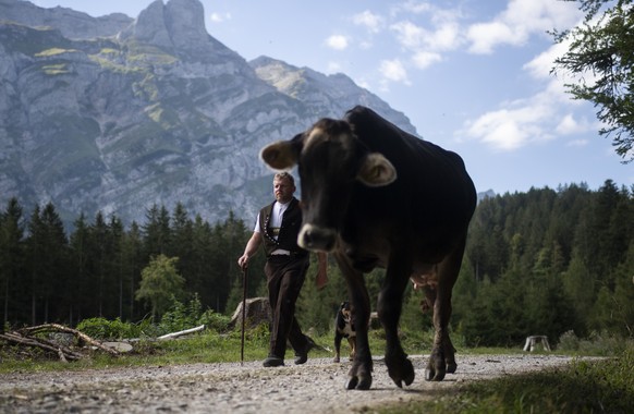 Bauer Stefan Faessler, bei der Alpabfahrt von der Alp Dunkelberndli, am Samstag, 5.September 2020, in Schwende. Die Familie Faessler verbrachte den Sommer von Mai bis September auf der Alp und zieht n ...