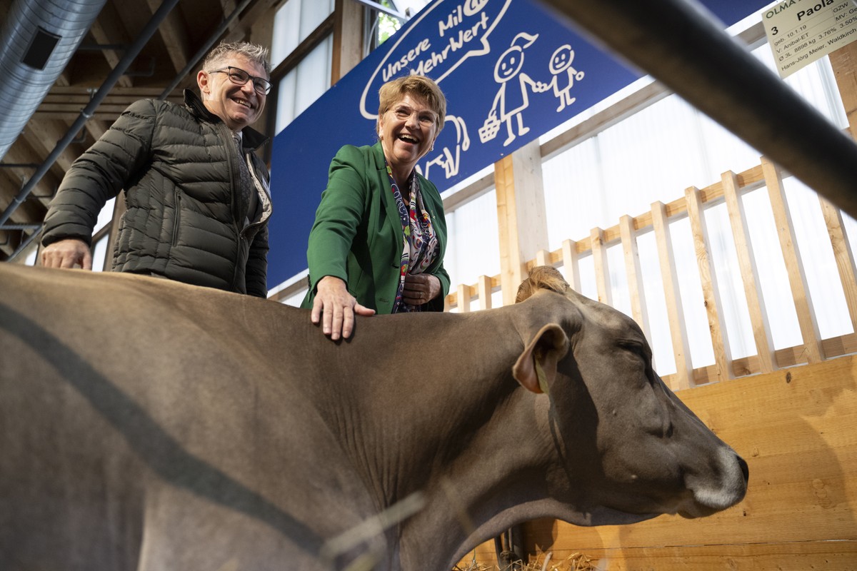 Bundespraesidentin Viola Amherd mit einer Kuh, neben Christian Manser, Praesident der Olma-Tierschauen, bei der Eroeffnung der 81. OLMA Schweizer Messe fuer Landwirtschaft und Ernaehrung, am Donnersta ...
