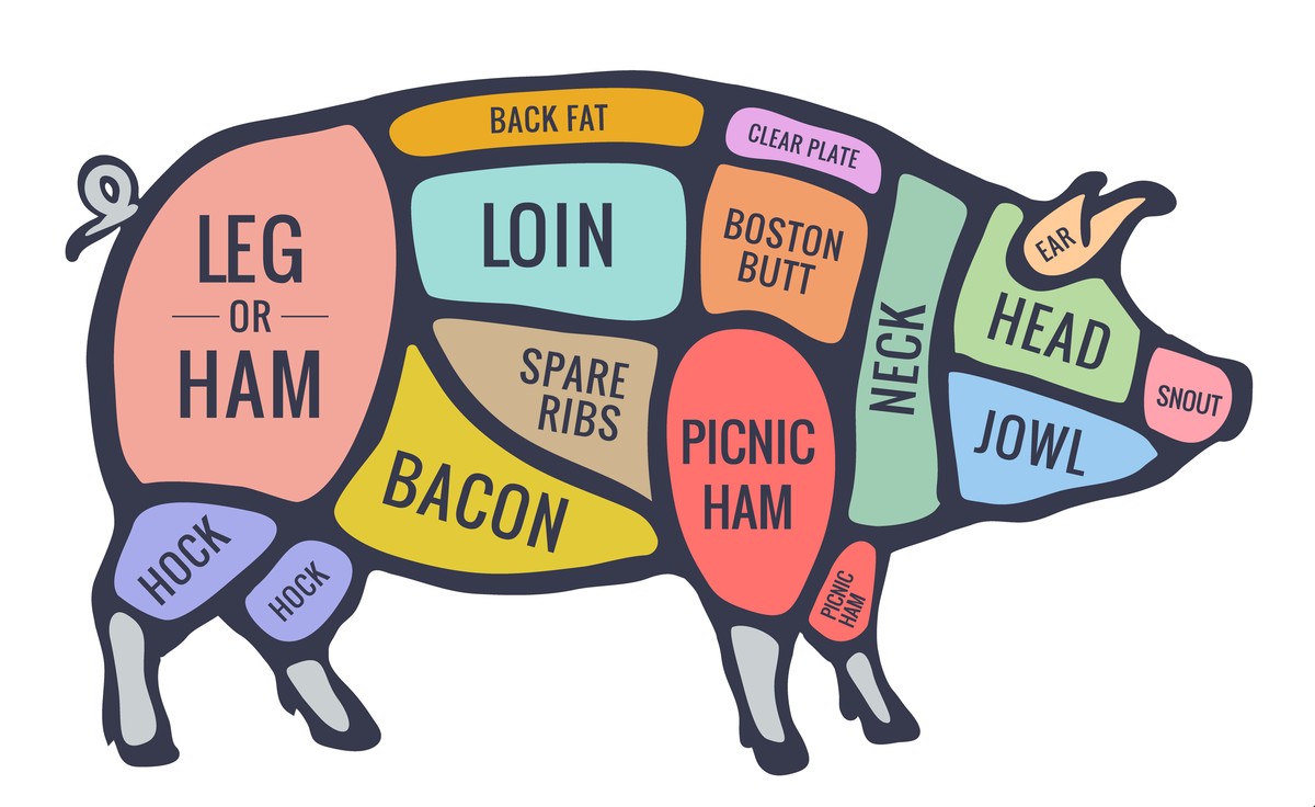 schweineflasch schlacht diagramm metzger tafel essen