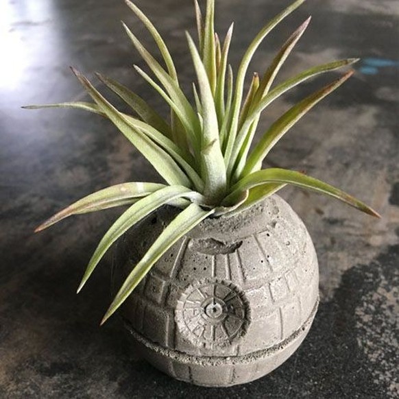 death star blumentopf star wars 

https://hips.hearstapps.com/pop.h-cdn.co/assets/17/18/1493750556-1480613004-small-death-star-concrete-planter.jpg?crop=1xw:1.0xh;center,top&amp;resize=768:*