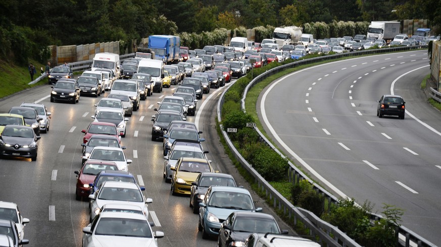 Mit drei Initiativen wollte die Auto-Partei ins Wahljahr steigen.