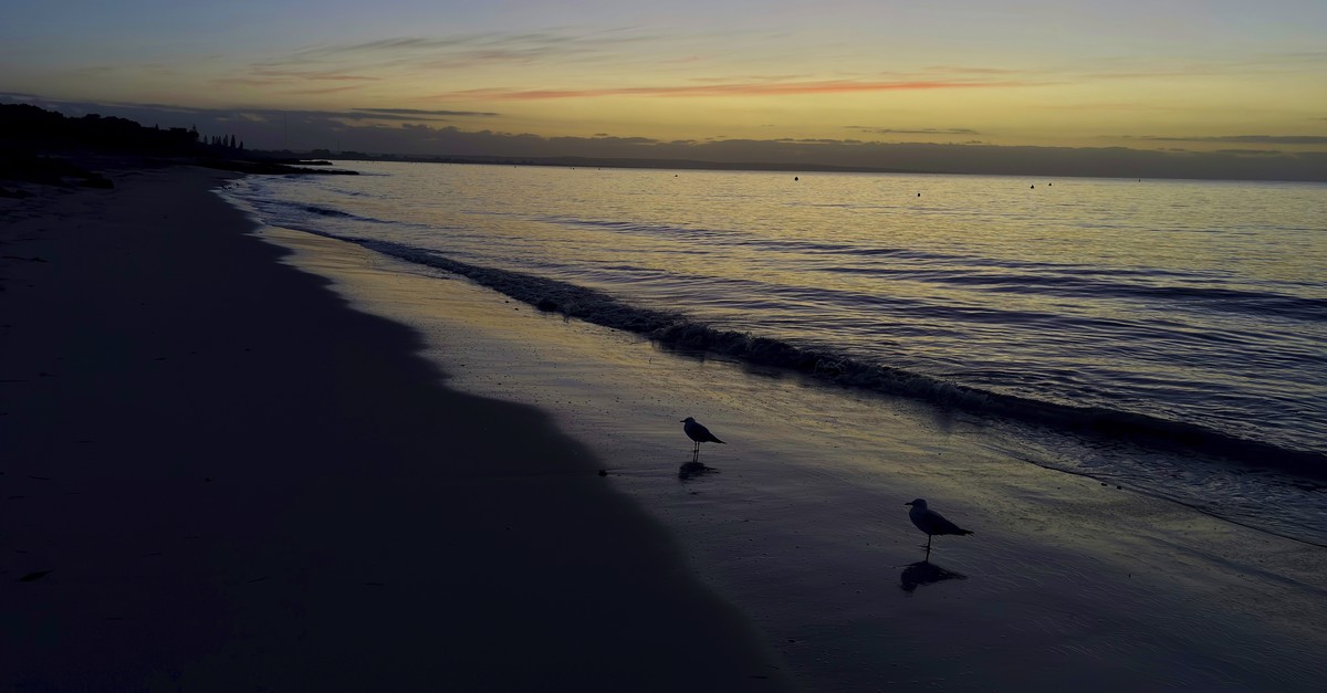 13-J-hriger-schwimmt-4-Stunden-um-seine-Familie-zu-retten