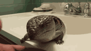 Animiertes GIF