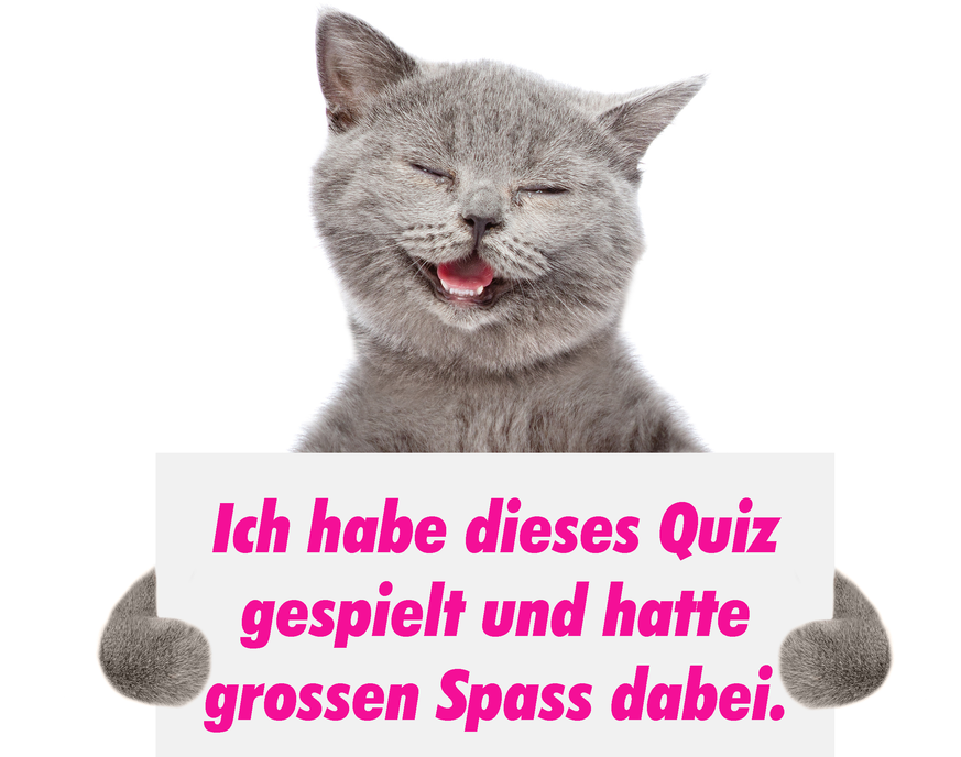 Quizz Teaer Katze