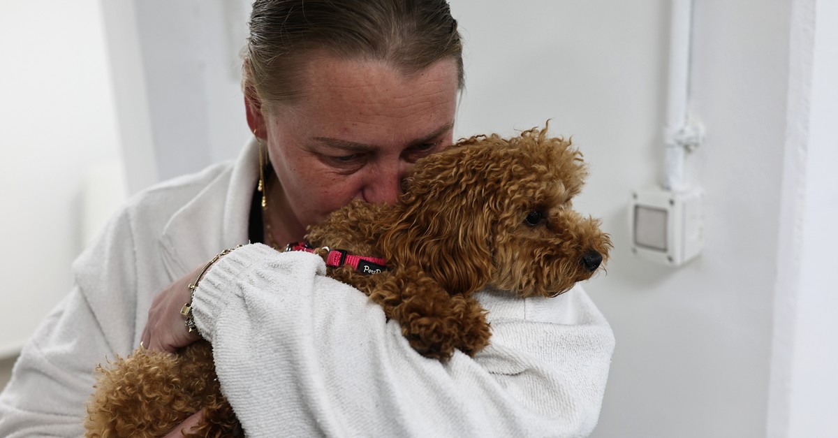 Neue Studie: Hundebesitzer erkennen Schmerzen bei ihren Tieren oft nicht