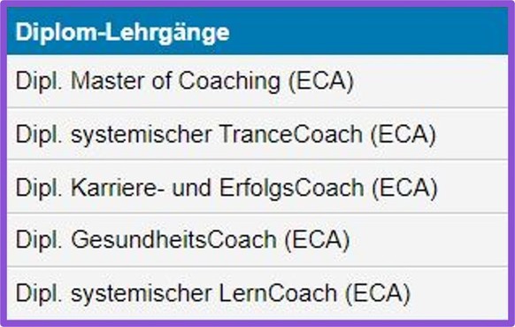 watson-Serie: Profit mit Erfüllung: Undercover in einer Life-Coach-Ausbildung von bei der Coach Akademie Schweiz, die besonders aggessives Marketing betreibt.