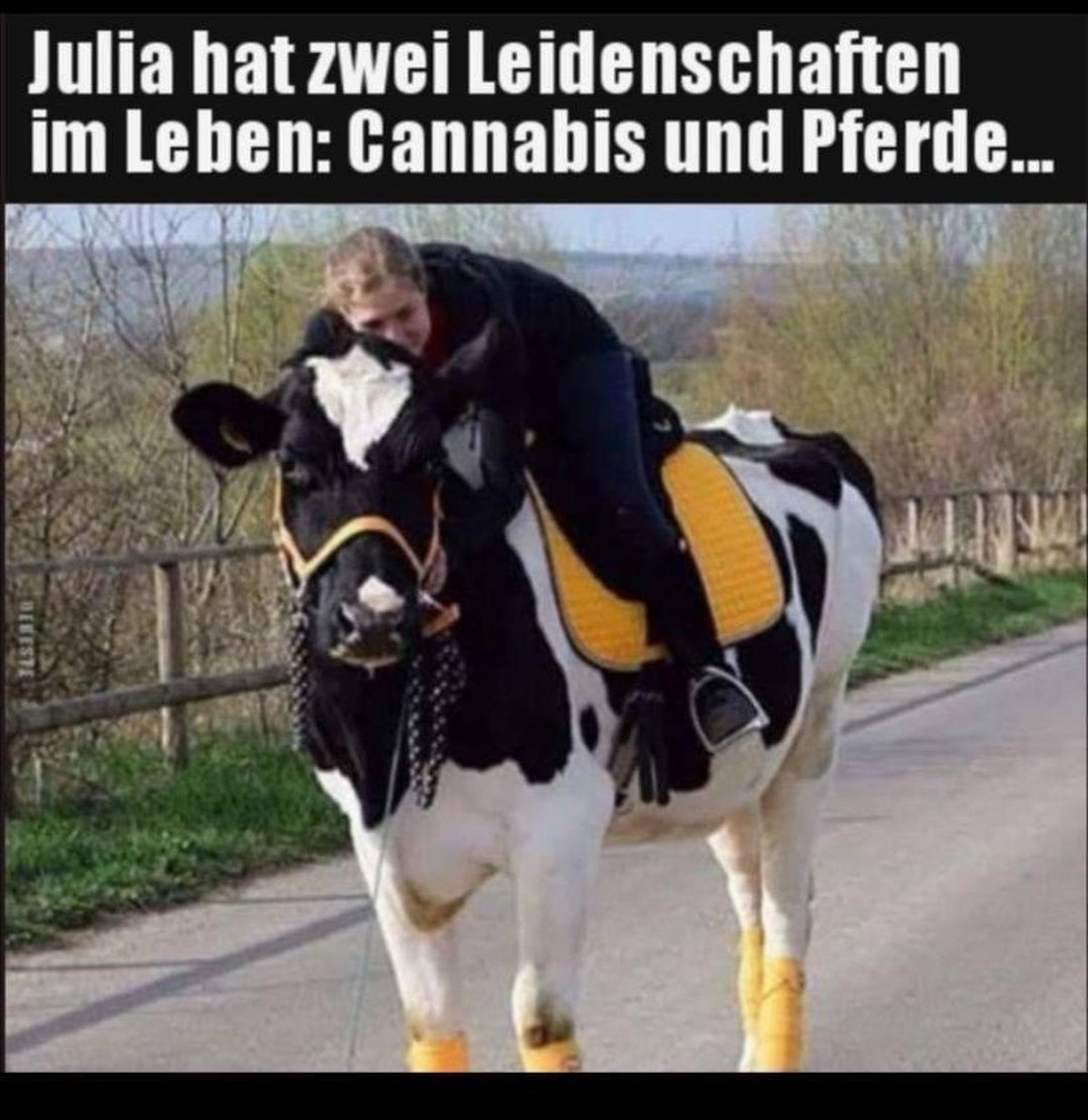 Picdump #24 – von der Community, für die Community\n
