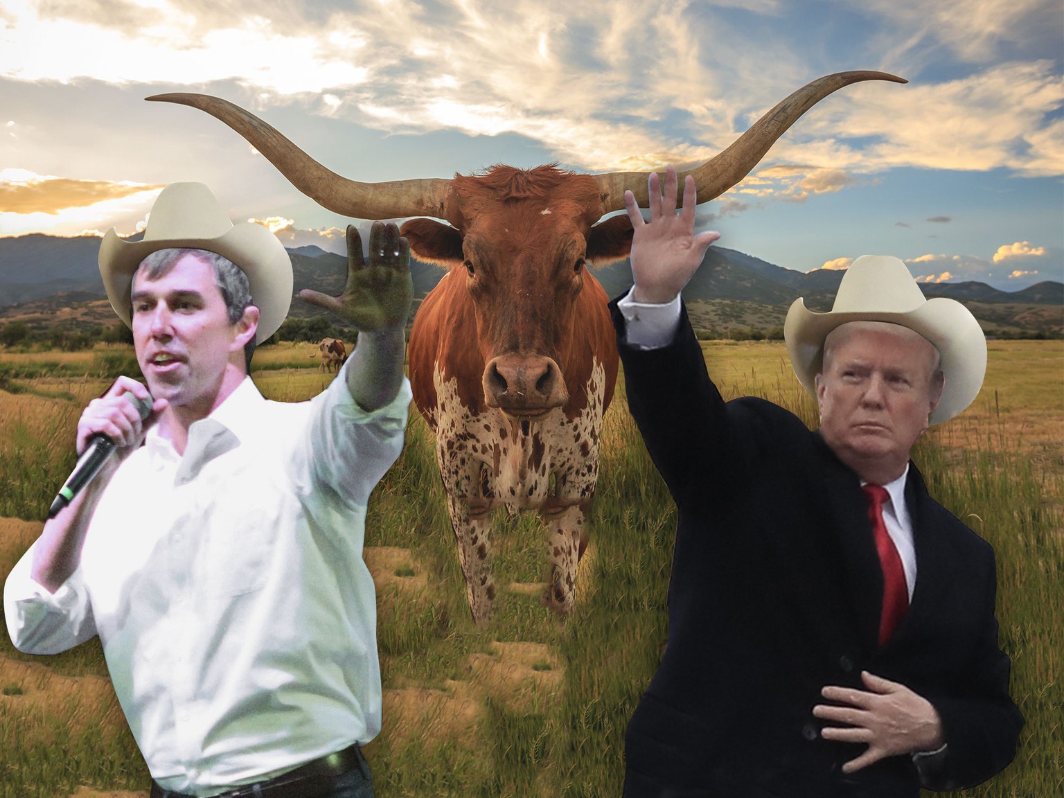Trump Beto O&#039;Rourke in Texas Teaserbild