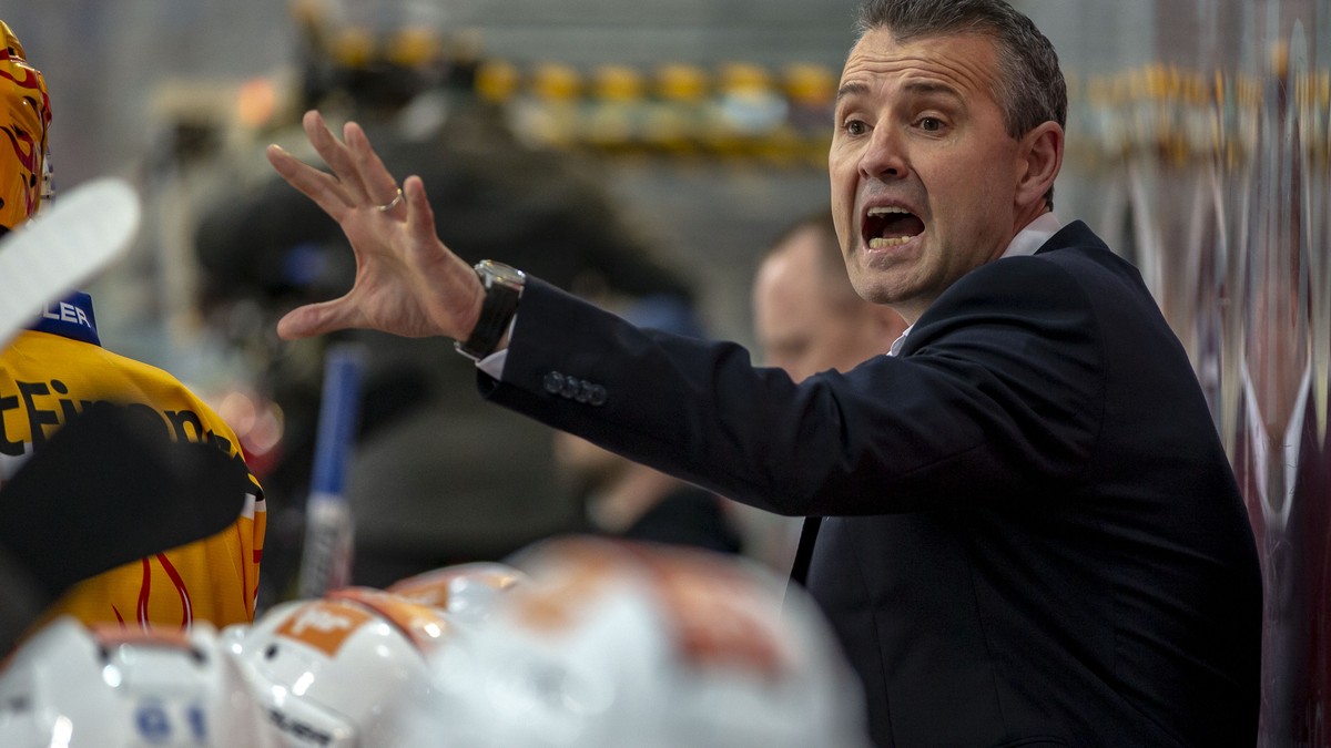 Der neue SCB-Trainer Serge Aubin – einer wie Bill Gilligan