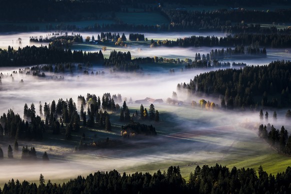 The sun shines through the morning mist in the countryside of the canton of Jura in Les Bois, Switzerland, Friday, October 13, 2017. (KEYSTONE/Valentin Flauraud)