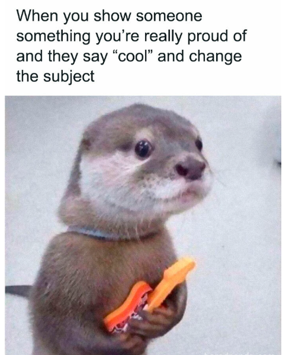 Otter-Meme in den Cute News