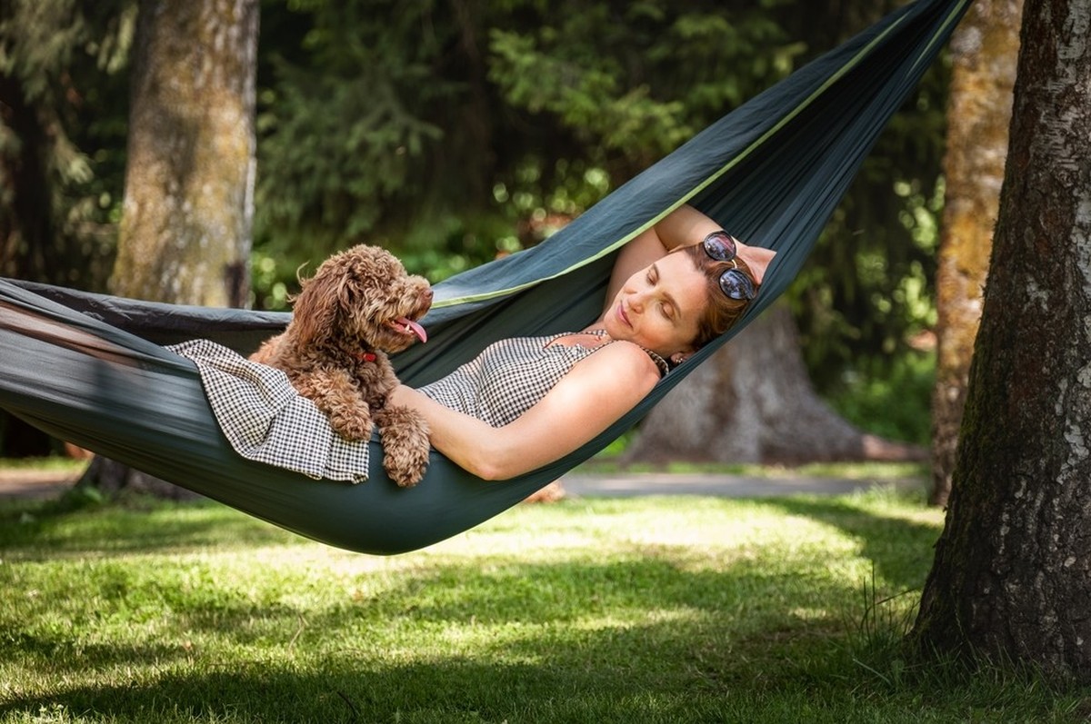 Personen mit Hund machen meist Ferien in der Heimat.