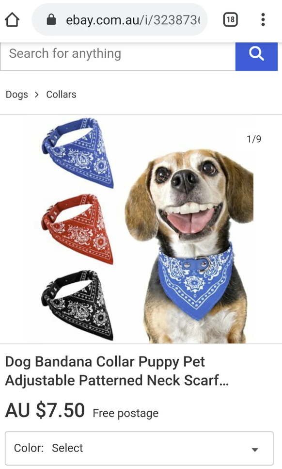 Lustige Photoshop-Pannen von Amazon, Shein, Ebay