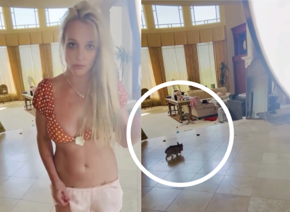 L'état de santé et de la maison de Britney Spears inquiète son entourage, qui en viennent à regretter sa mise sous tutelle.