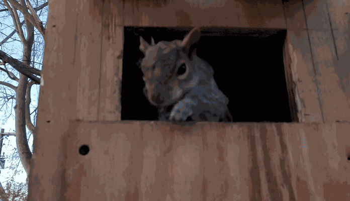 Animiertes GIF