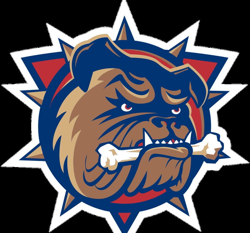 Kennst du die kuriosen Namen der AHL-Teams? Wenn nicht, musst du ab ins Farmteam!