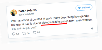 Sexistische Kackscheisse! Google-Entwickler sagt, warum Männer bessere Programmierer sind