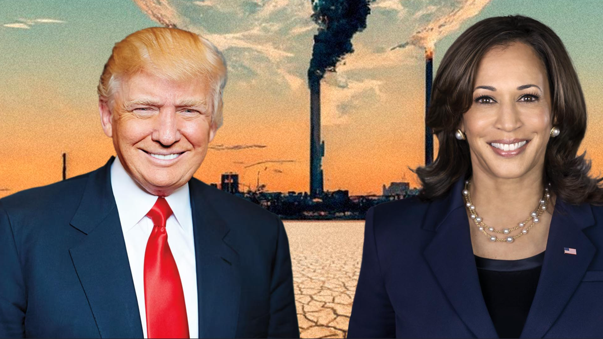 Donald Trump et Kamala Harris ne s'intéressent guère au climat lors de leur campagne.