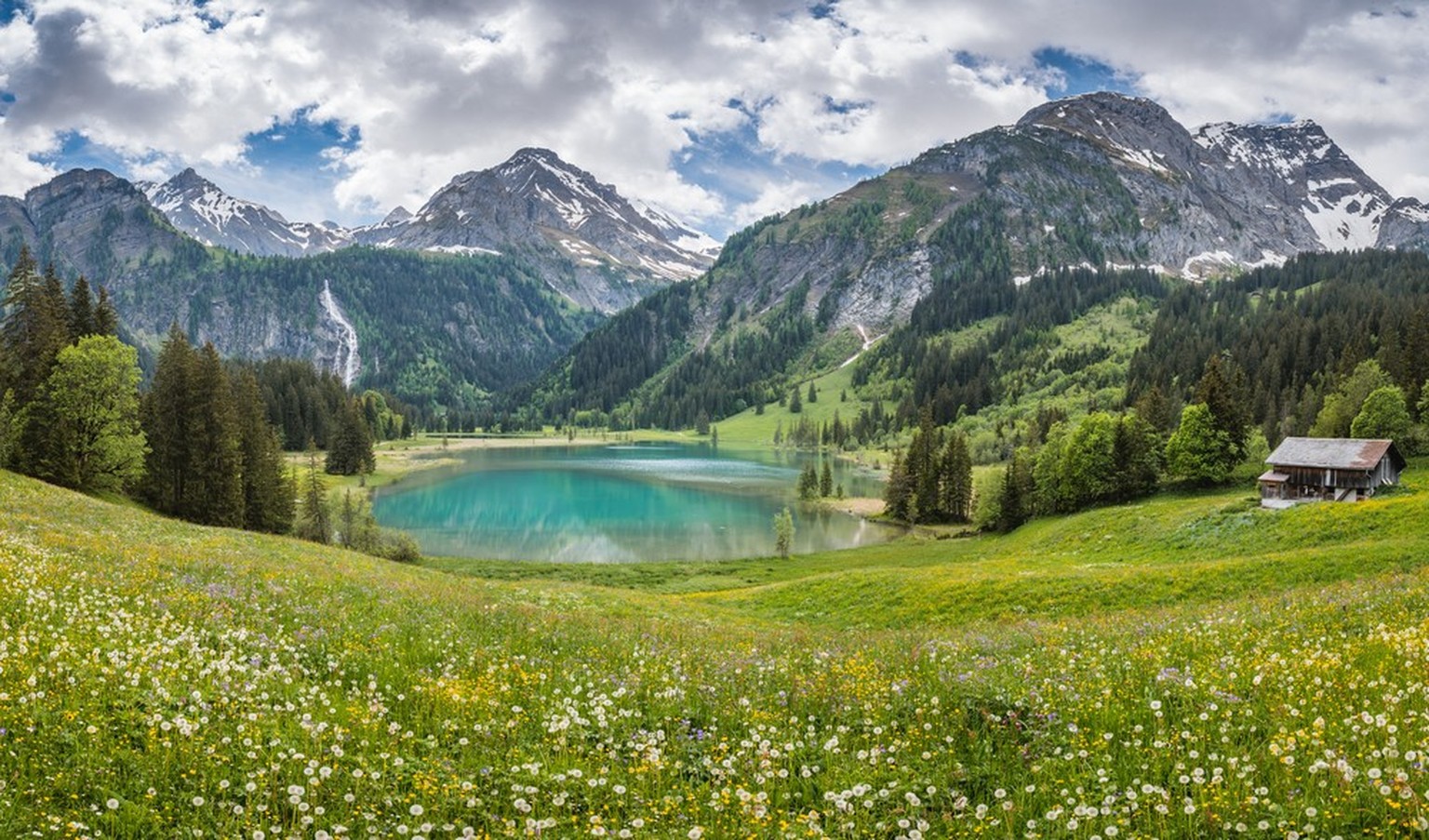 Biodiversität