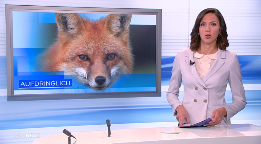 Schlau, aber auch schnell (und) aufdringlich: der Fuchs.