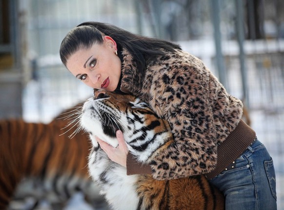 Carmen Zander vom Dresdner Weihnachts-Cirkus mit ihren Tigern.

Carmen Zander of Dresdner Christmas Cirkus with theirs Tigers