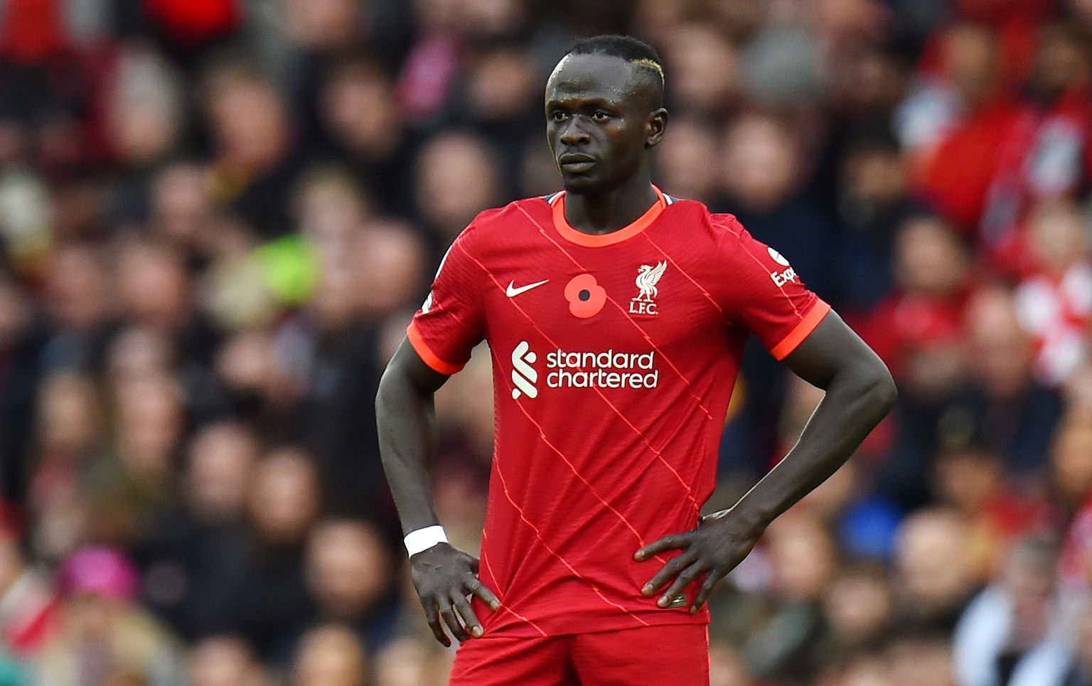 epa09554636 Sadio Mane of Liverpool during the English Premier League soccer match between Liverpool FC and Brighton Hove Albion in Liverpool, Britain, 30 October 2021. EPA/PETER POWELL EDITORIAL USE  ...