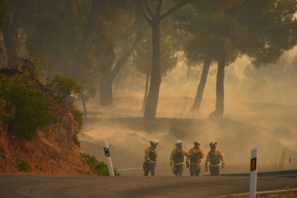 Firefighters walk along a road as smoke rises from a wildfire in San Martin de Valdeiglesias, west of Madrid, Spain, Sunday, July 26, 2026. (AP Photo/Manu Fernandez)
Spain Wildfires