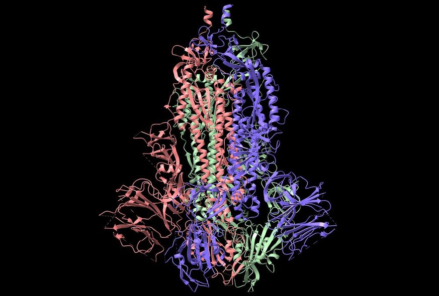 Struktur des SARS-CoV-2-Spike-Glykoprotein