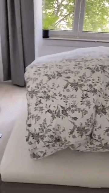 Animiertes GIF