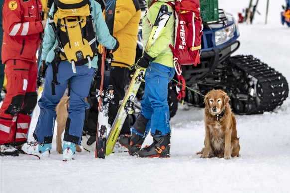 Rescue forces with search dogs still search for missed persons after an avalanche swept down a ski piste in the central town of Andermatt in canton Uri, Switzerland, Thursday, December 26, 2019. Six p ...