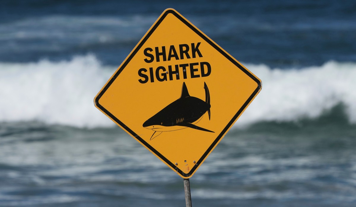 FILE - A sign is seen at the site of a fatal shark attack at Dee Why Beach in Sydney, Australia, on Sept. 6, 2025. (AP Photo/Mark Baker, File)
Australia Shark Attack